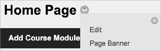 Select the caret next to Home Page to open the option menu