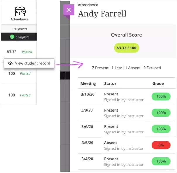 Example of a student attendance record