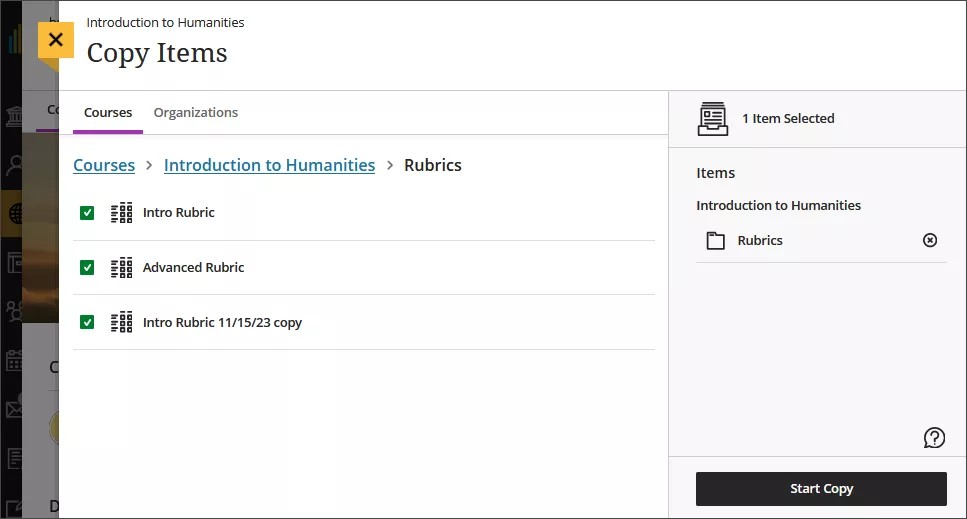 Imagen del panel Copiar elementos, que muestra varias rúbricas seleccionadas para ser copiadas de una carpeta de rúbricas