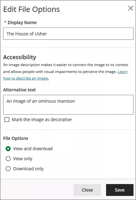 Image du panneau Modifier les options de fichier, montrant les options d'accessibilité et de fichier
