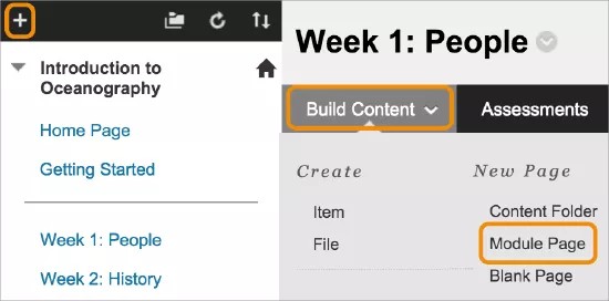 Sélectionnez le signe plus pour ajouter une page de module de cours
