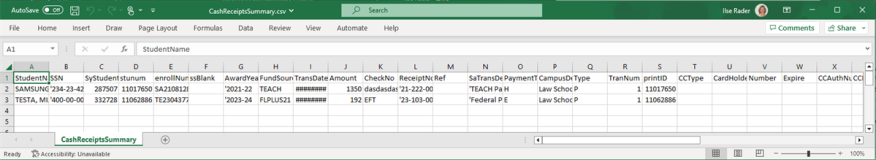 Raw Excel