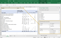 IPEDS report - Pivot tab - Filters