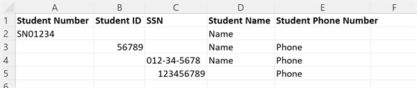 Shows an example from an Excel file. 