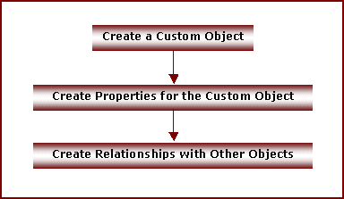 Process Flow for Custom Objects