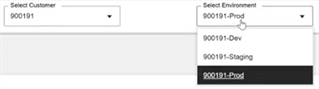 Customer and Environment selectors