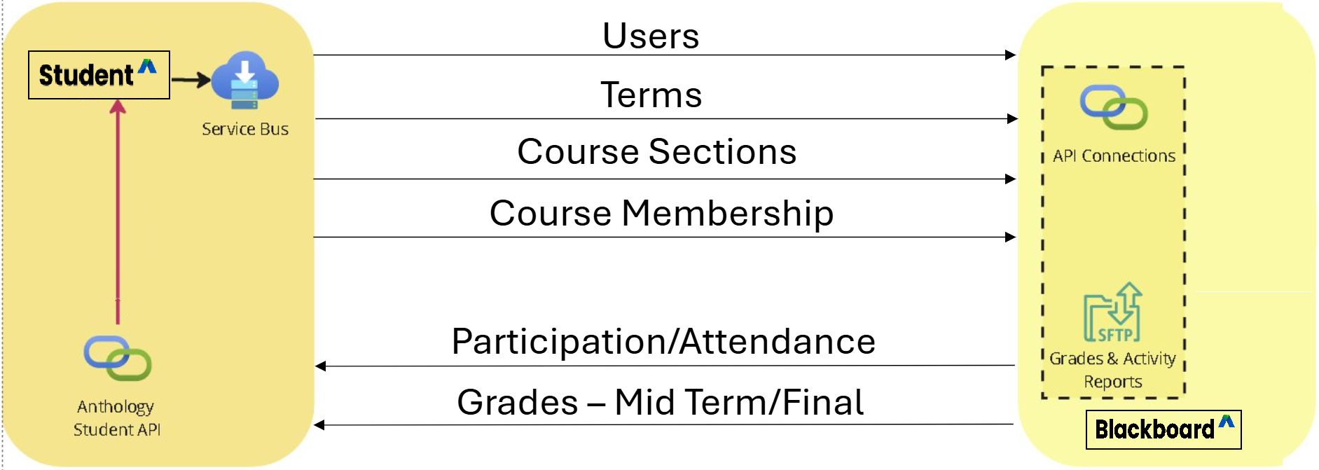 Student - Blackboard - Entities