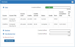 Degree Progress Audit - Electives