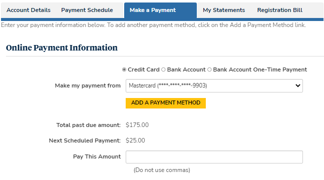 Make a Payment tab - Payment Info