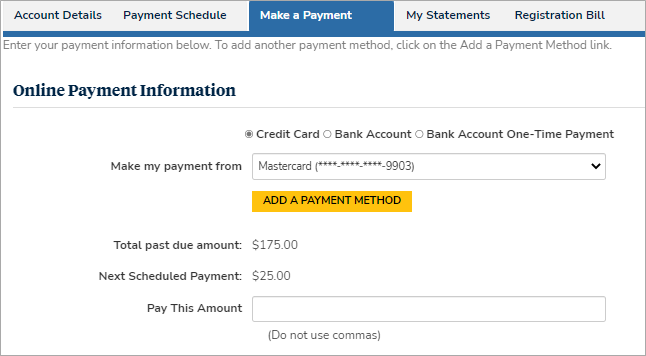Make a Payment tab - Payment Info