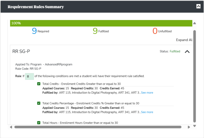 Requirement Rules Summary