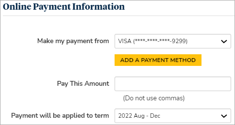 Online Payment Info