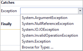 trycatch_catches_exceptions