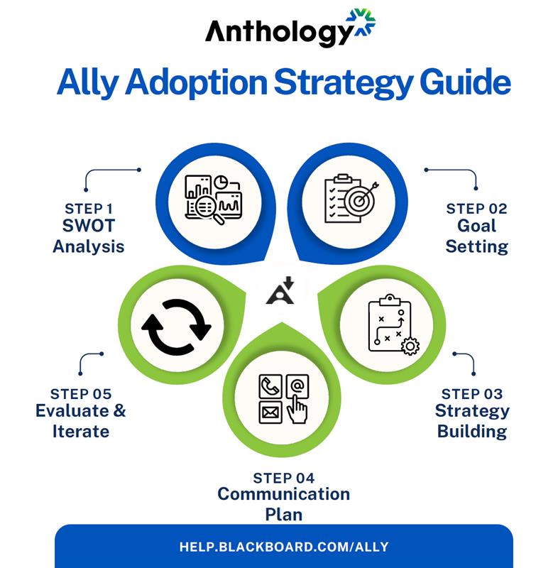 Ally_Adoption_Strategy_Guide_Infographic.png