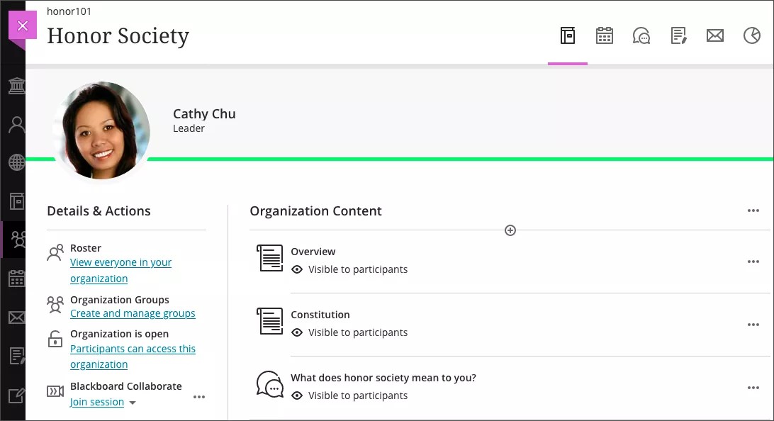 The Organization Course page in Ultra Organization View.