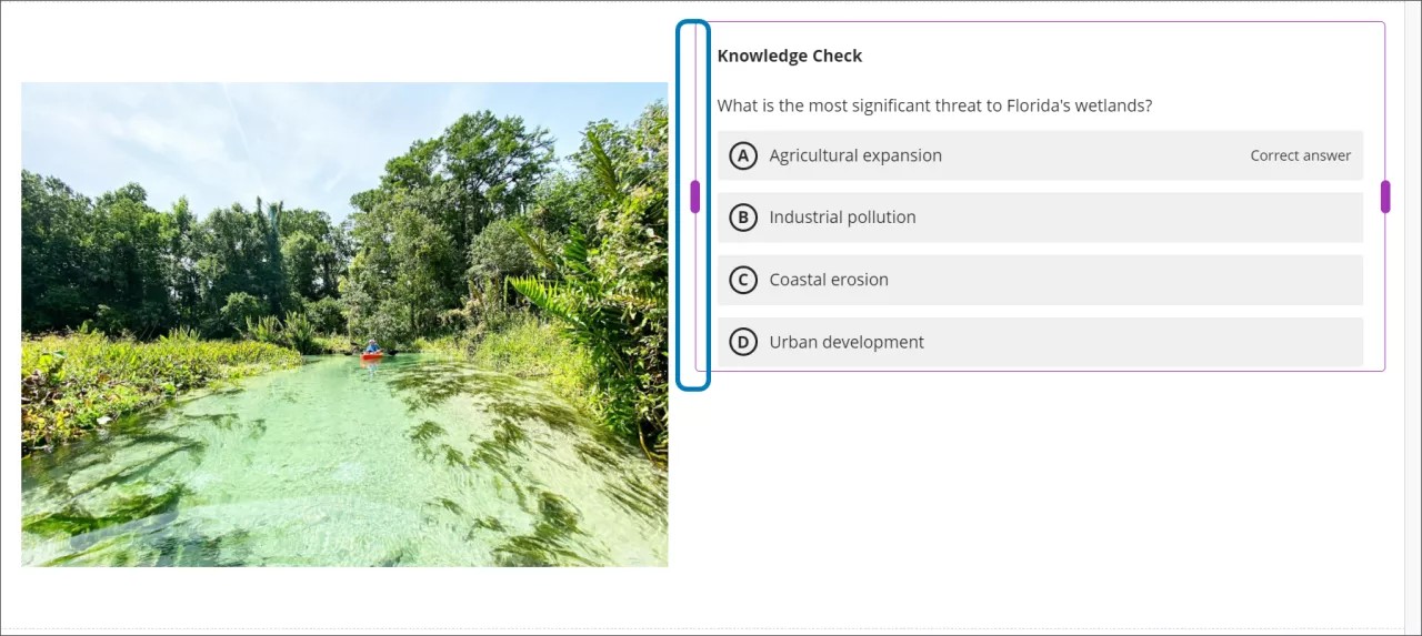 The purple resize handle is highlighted between an image and a knowledge check to demonstrate how the zone the handle functions in
