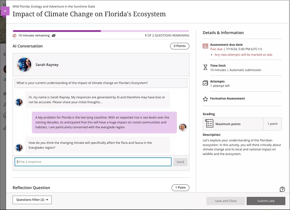 Preview of student display of an AI conversation