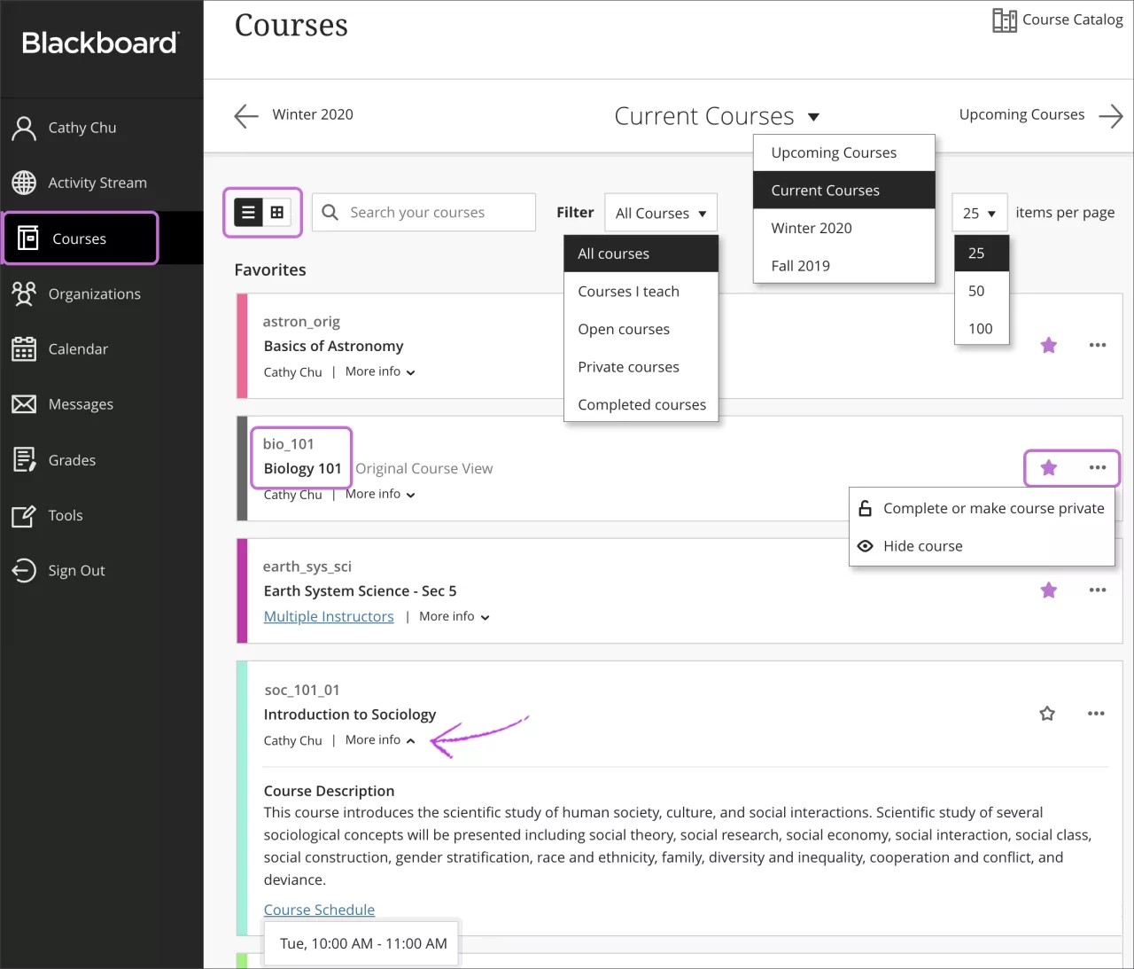 The Course Content page. The Courses option in Base Navigation is highlighted.