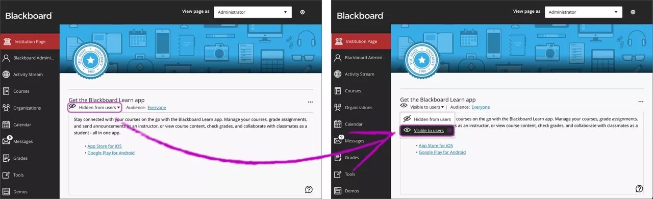 The eye icon is selected and highlighted and the "Visible to users" option is selected.