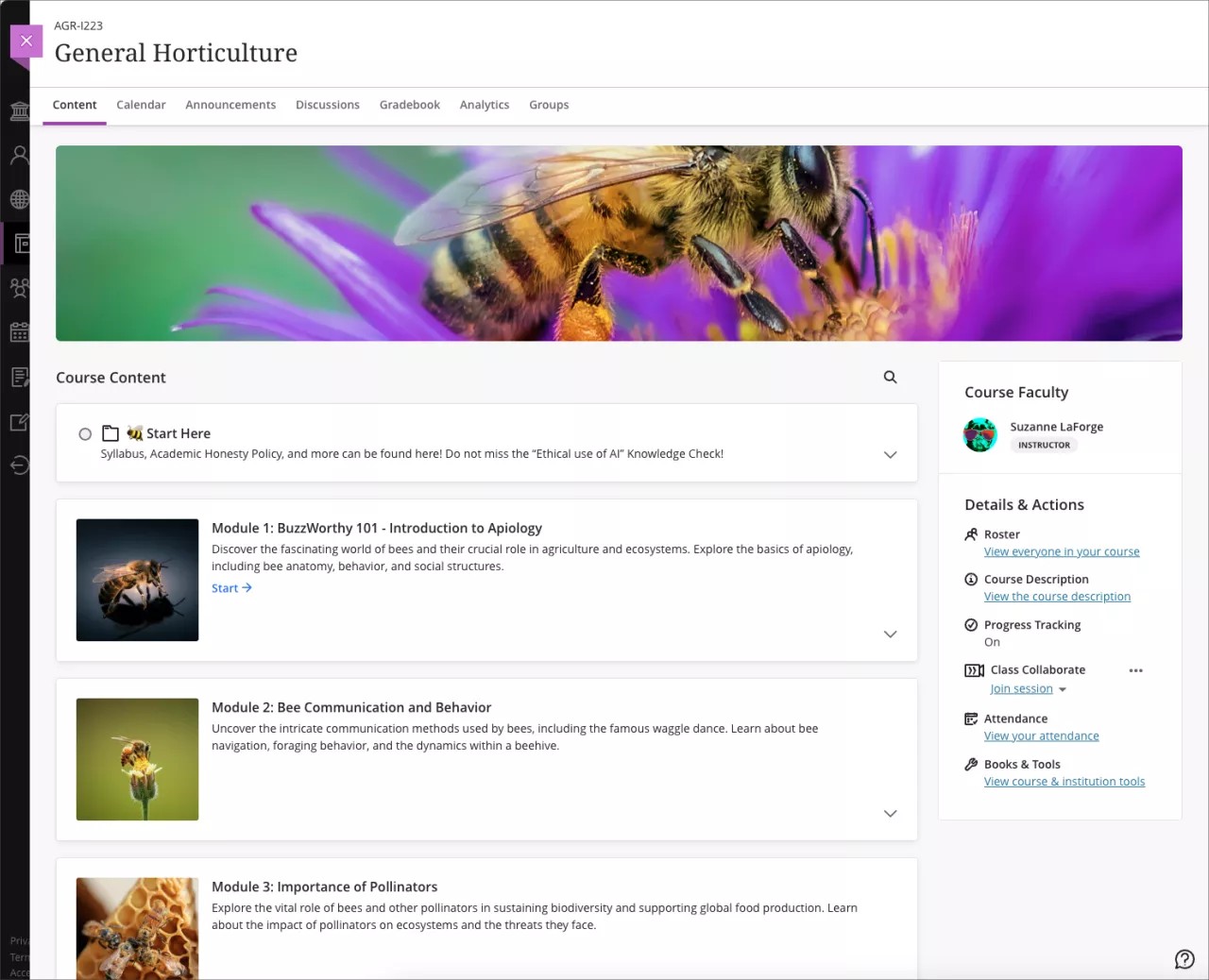 Student view of the Course Content page