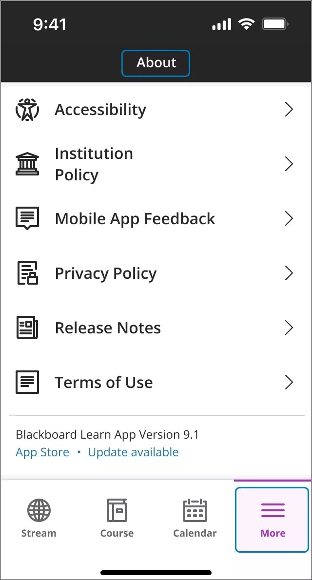 New About section in the More menu