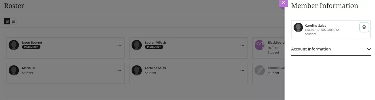 Ultra example when Remove System DSK Users’ entitlement is permitted