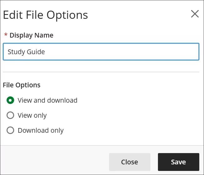 Edit File Options popup, with the button for View and Download selected