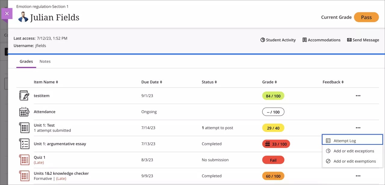 Access from the Grades tab from the student overview