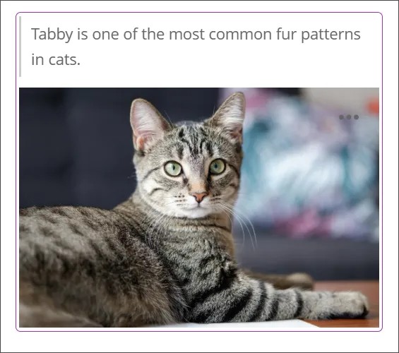 Un gato atigrado, con una leyenda arriba que dice 'Tabby es uno de los patrones de pelaje más comunes en los gatos'.
