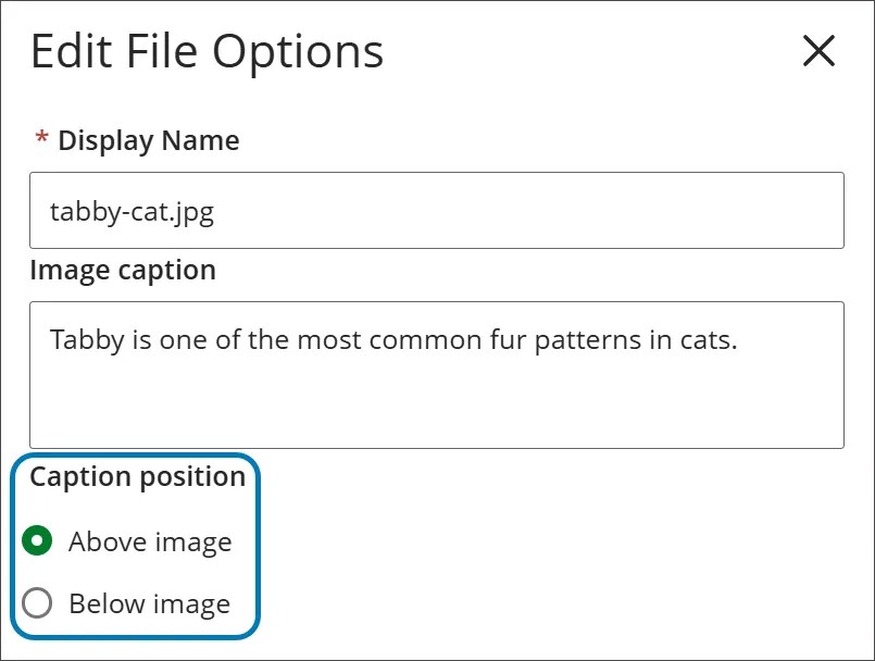 La page Modifier les options du fichier propose des champs pour le nom d'affichage, la légende de l'image et des choix pour la position de la légende