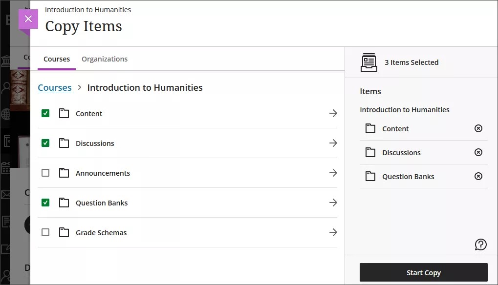 Image of the Copy Items page, with several categories of course item selected whereas others are not