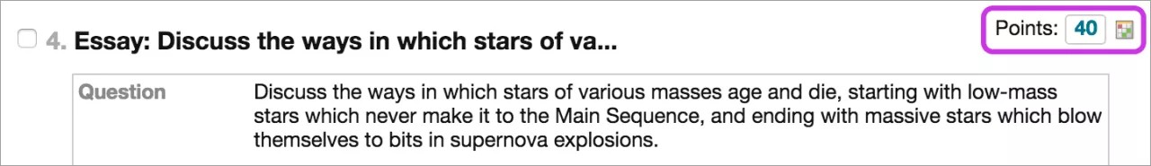 Essay question with an attached rubric. The number of points and the rubric icon are highlighted in purple.
