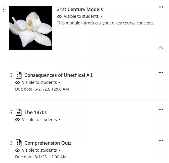 A learning module, showing visibility options and the Edit menu