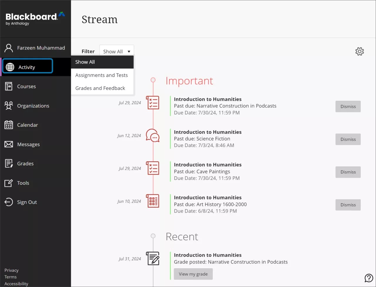 Stream op de activiteitspagina, met Belangrijke items in het rood en Recent in het zwart.