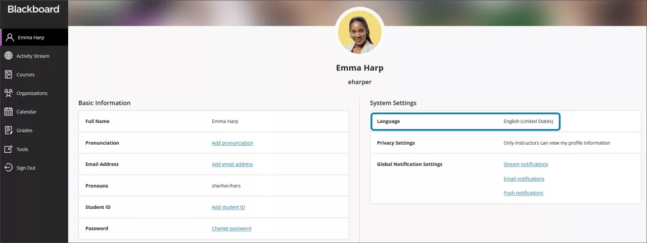 Imagem do perfil do usuário em ultra, com o menu de idiomas destacado em azul