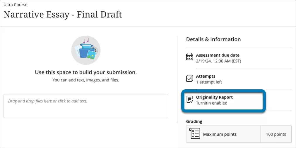 Ultra 作业的学生提交屏幕，突出显示 Turnitin 已在原创性报告设置中启用。
