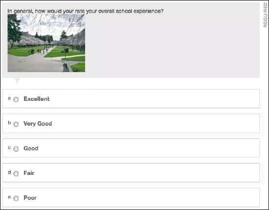 A multiple choice question, with an image in the question and five answer choices.