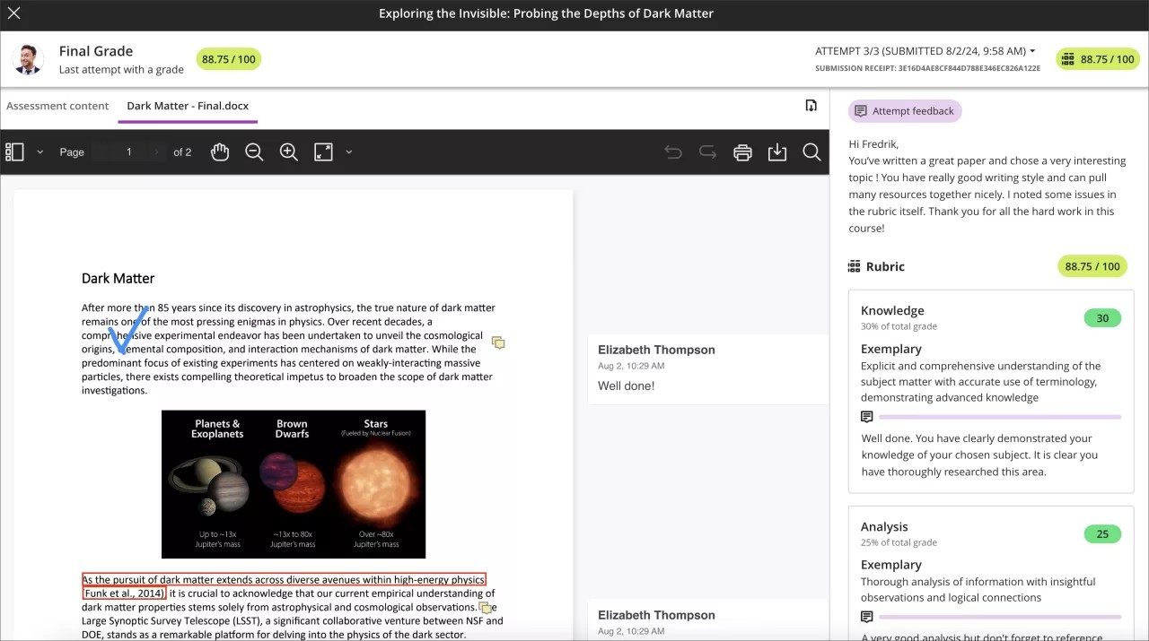 Student view of the assignment submission review page for the hidden assignment; all instructor feedback is displayed