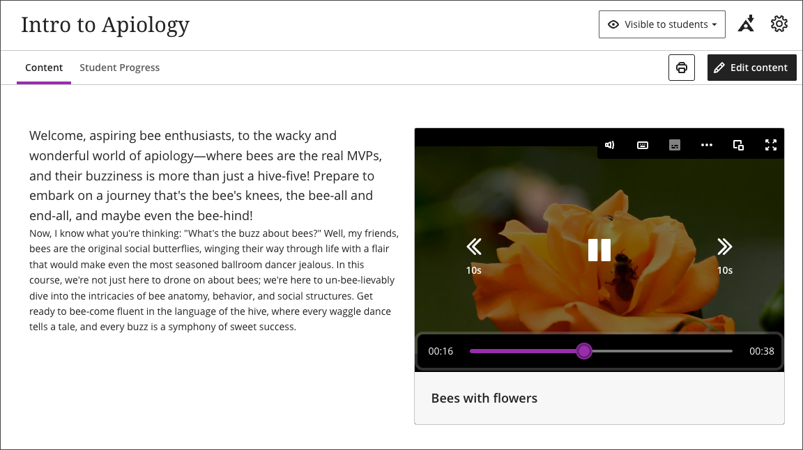 Alt text: The Video Studio player controls, showing a 10-second rewind button to the left of the central play and pause button and a 10-second forward button to its right. In the compact layout, each button shows only its icon without the “10s” label.
