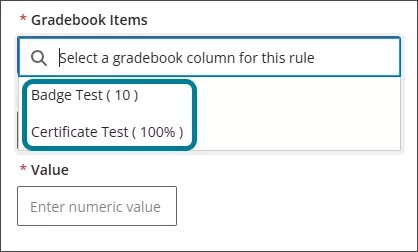 The Gradebook Items menu with gradebook items indicated in blue, one with maximum number of points and one with 100% next to the name