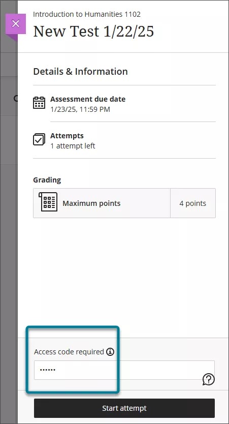 Numbers in the Access Code field in the test panel for students is masked with asterisks