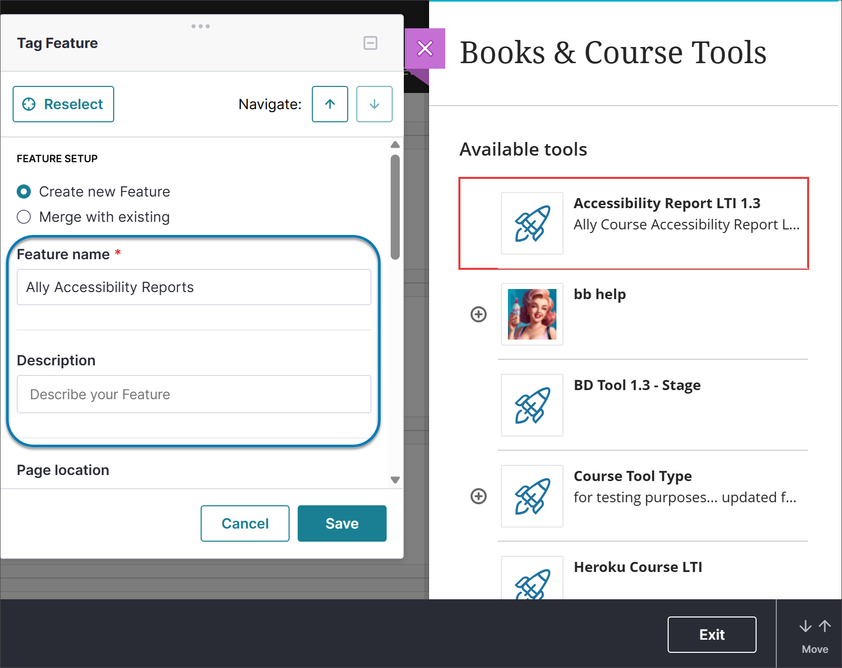 El panel de funciones Tag se encuentra a la izquierda de los paneles Books y Course Tools, que se abren en Visual Design Studio en Adopt. Seleccione la herramienta LTI (se muestra un recuadro rojo alrededor de la opción). En el panel Etiquetar características, los campos Nombre de la característica y Descripción aparecen resaltados con un recuadro azul.
