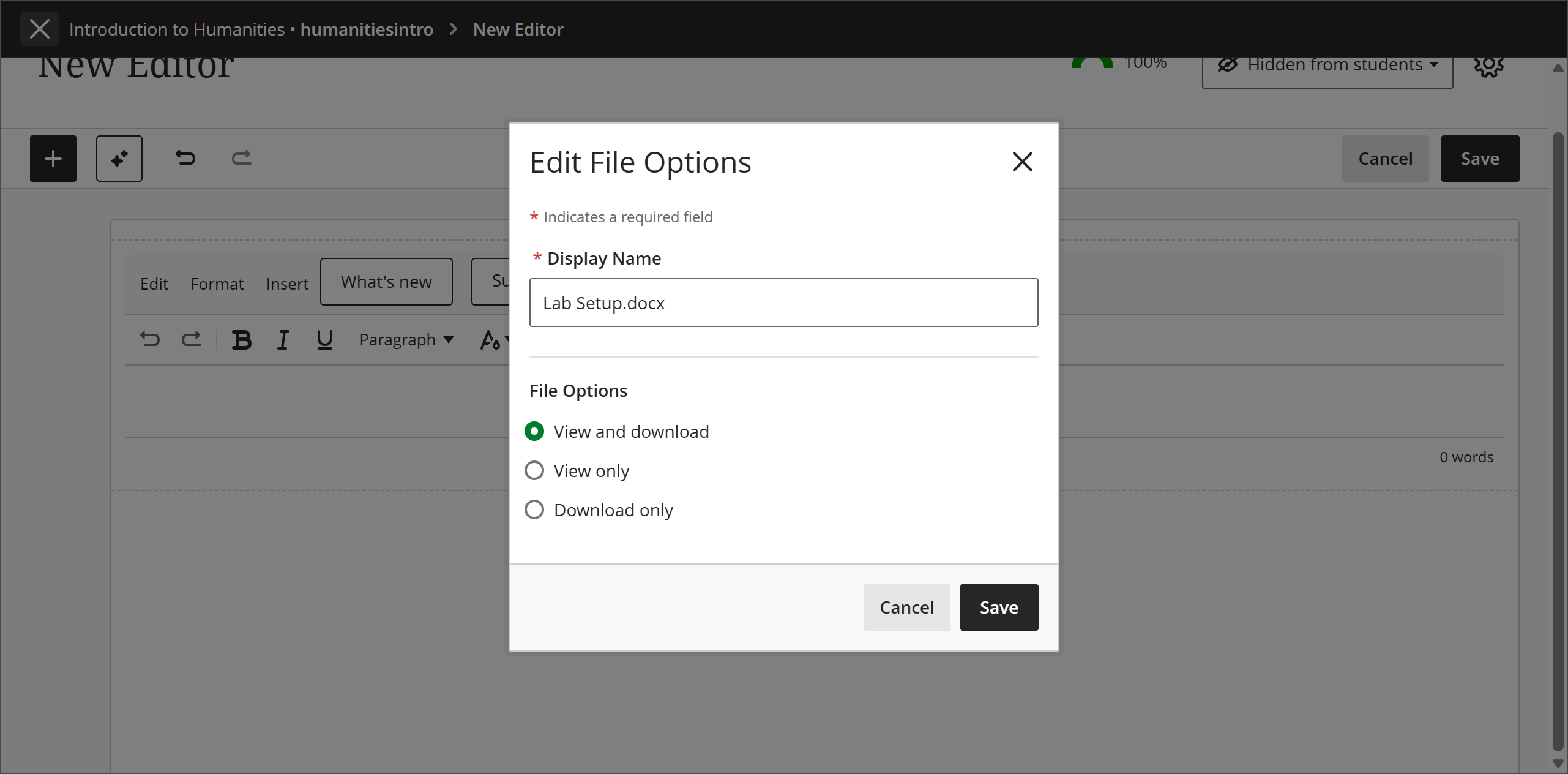 blackboard-instructor-new-content-editor-file-options.png