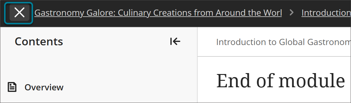 blackboard-instructor-doc-exit-button.png