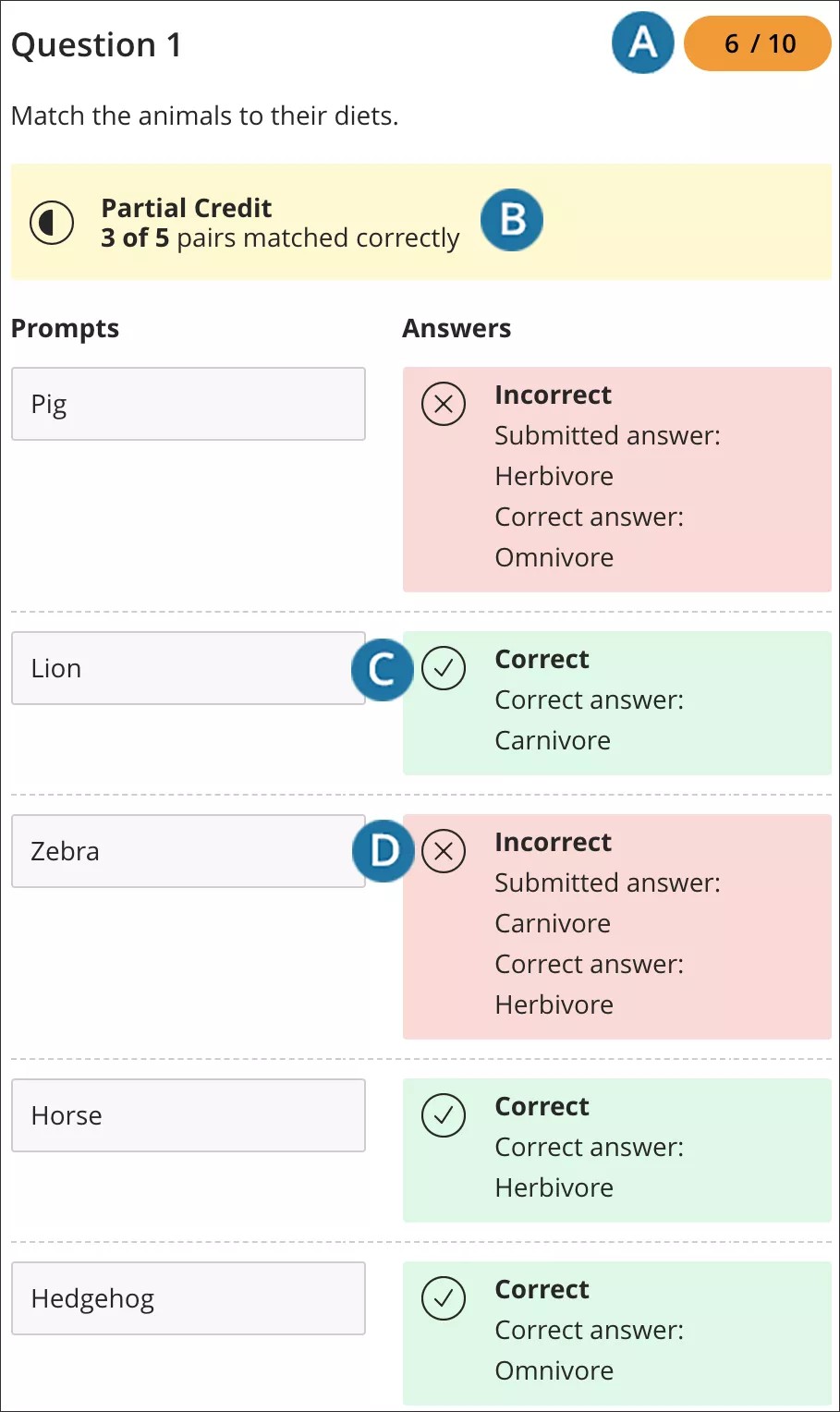 Eingereichte Frage mit sichtbarer Bewertung und Feedback zur richtigen Antwort und insgesamt übereinstimmenden Paaren.