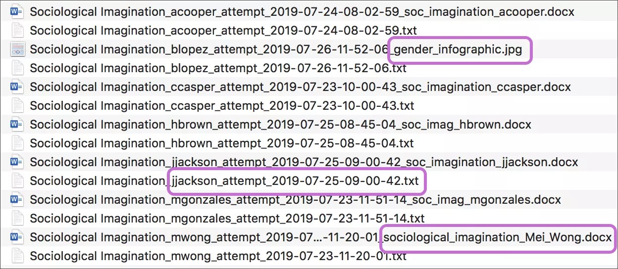 Se descomprime un archivo ZIP y se muestra una carpeta con los archivos de cada entrega. Se resaltan los nombres de usuario, las fechas de entrega, los nombres de los archivos y los tipos de archivos.