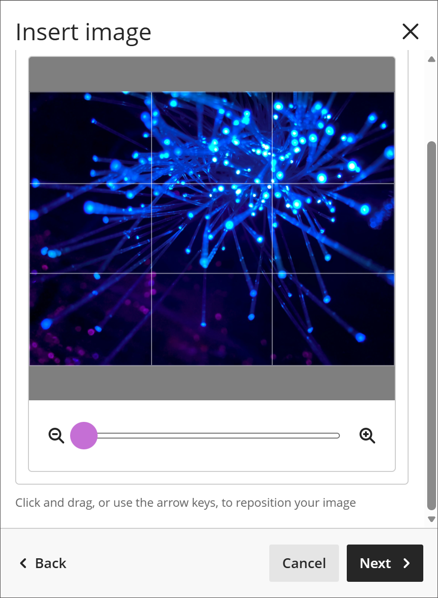 Imagen de la relación de aspecto y opciones de zoom en el panel Insertar imagen