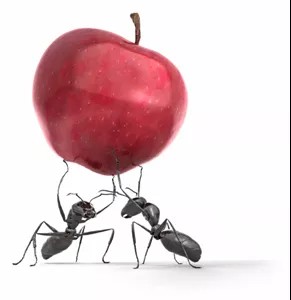 Trabajo en grupo
