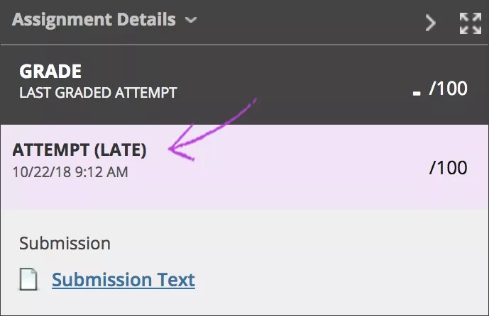Panel de detalles de la actividad con un intento de entrega mostrado. El intento está marcado como TARDE.