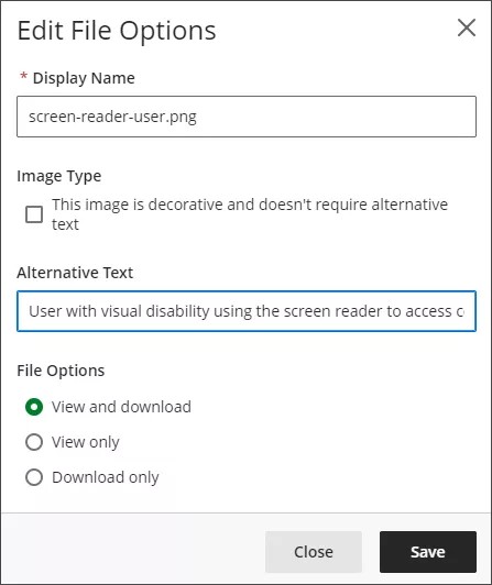 La ventana Editar opciones de archivo, con opciones para introducir el Nombre para mostrar (obligatorio), marcar el Tipo de imagen como decorativa, introducir el Texto alternativo y elegir entre las Opciones de archivo. Las opciones de archivo son Ver y descargar, Solo ver o Solo descargar. En la parte inferior hay botones para Cerrar y Guardar.